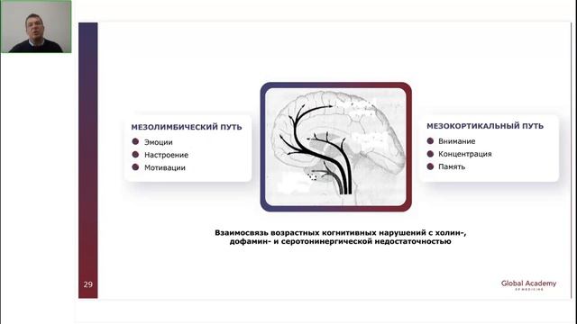 Когнитивные нарушения: распространенность, причины и профилактика