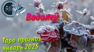 ВОДОЛЕЙ! Таро прогноз на январь 2025 года!