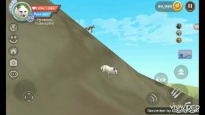 ~Мини фильм« он меня любил, а я его предала...» Wild Craft~# Реальная история