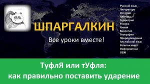 ТуфлЯ или тУфля: как правильно поставить ударение