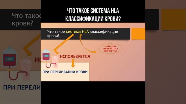 Что такое система HLA классификации крови? #группакрови #анализкрови #переливаниекрови #трансплант