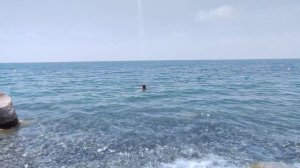 Парк-отель Кавказ Абхазия.Пляж перед обедом 14 июня 2024