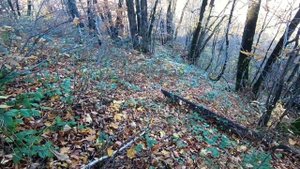 как мы #дрон #dji #mavic искали #fpv