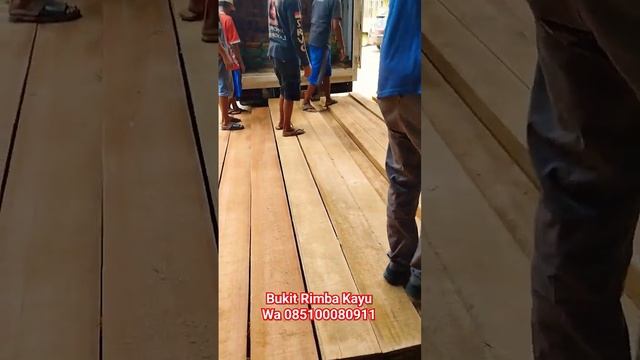 kayu banio #kayumeranti #kayutua #tukangkayu #rumahkayu #kayukalimantan #jualkayu #kayuberkualitas смотреть онлайн