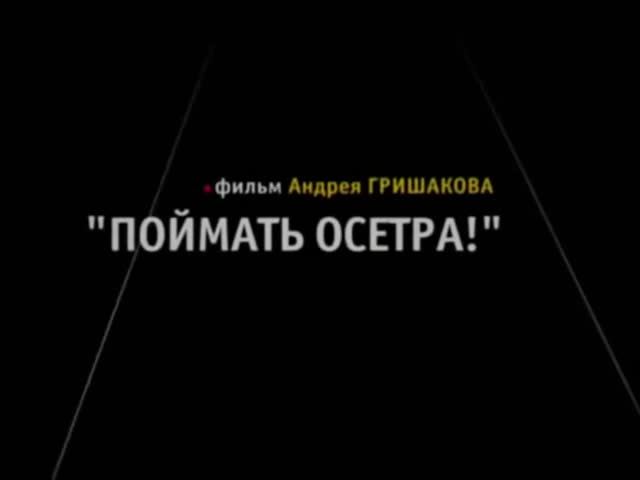 Поймать осетра!