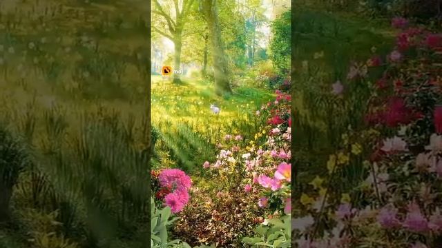 india naturalty смотреть онлайн