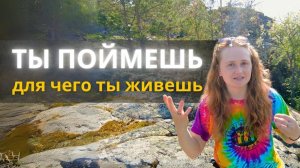 ПРОБУДИСЬ и получишь ВСЁ, что хочешь #пробуждение #просветление