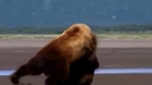 воин и Велес -Жека(vernok)и Волколак