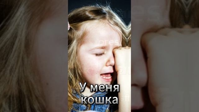 #shorts #helloneighbor2 #helloneighbor #приветсосед2 #приветсосед #ауменя #foryou #сосед #tiktok смотреть онлайн