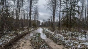 Реконьская пустынь 2017