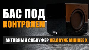 Бас под контролем: обзор активного сабвуфера с DSP Velodyne MiniVee X