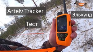 Artelv Tracker тест с Охотничьей собакой