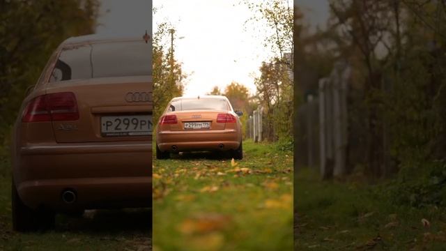 Audi A8 .На прогулке!