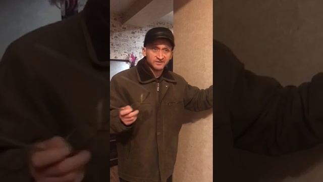 Новоселье