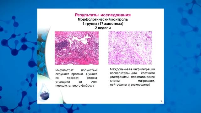 ДЭНАС при хроническом экспериментальном панкреатите