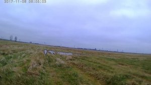 Охота на куропатку с русским охотничьим спаниелем!Дак Друви жжет!!!Ростовская обл.