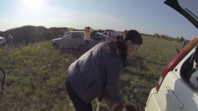 Хаски гангстерито смотреть онлайн