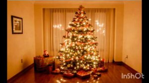 Ёлочки иголочки! Красивые ёлки!🤤🤤🤤