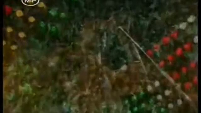 Queen Rock in Rio 1985 Part 13 Final We Are The Champi смотреть онлайн