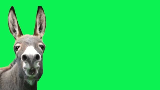 анимационный зеленый огр и осел с удивленными лицами на фоне современного города