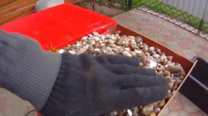 Сбор и переработка ракушек.The collection and recycling of shells.