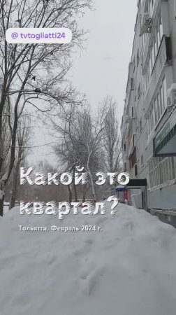 Какой это квартал в Тольятти?