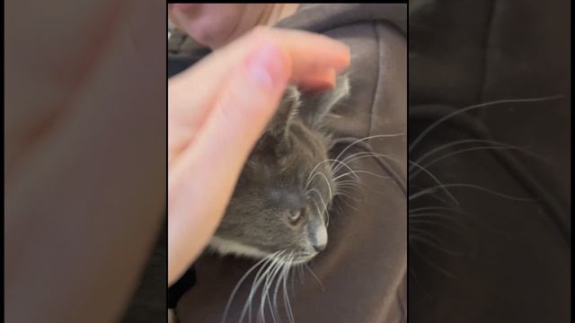 26-12-2024 смотреть онлайн