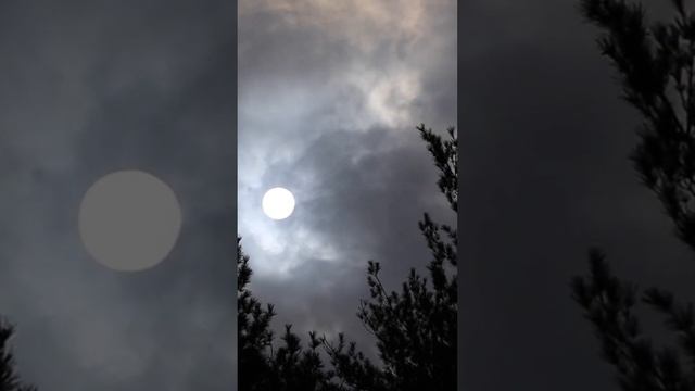 Жуткое приложение с тайной | #shorts #айсберг #iceberg #вирус #рекомендации #tiktok #разбор смотреть онлайн