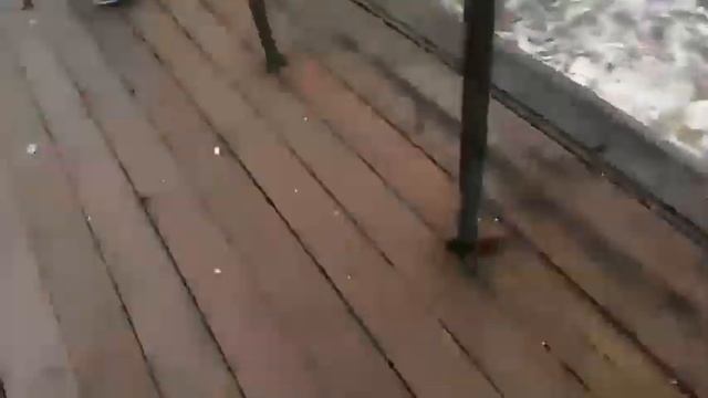 Река Дубёнка . МЕЛЬНИЦА. Влог (ЯРД ГеЙминГ) смотреть онлайн