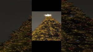 Ёлка, Колядная Звезда и Календарь