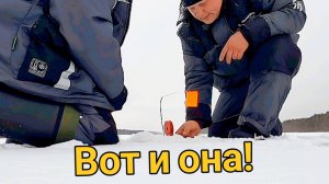 Эту поклёвку мы ждали целый день! Но оно того стоило! Зимняя рыбалка на жерлицы.