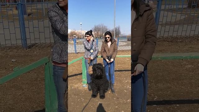 Юлия с Екатериной и их питомец - русский чёрный терьер Веня