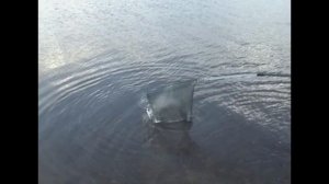 Карп пойман