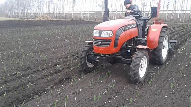 Прополка чеснока штригельной бороной смотреть онлайн