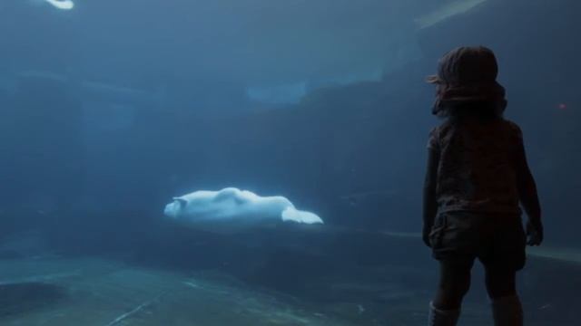 Across the Salish Sea смотреть онлайн