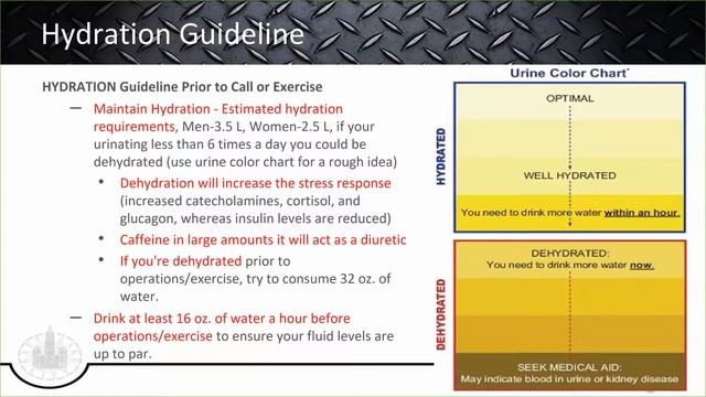 Section 6 2 FF nutrition смотреть онлайн