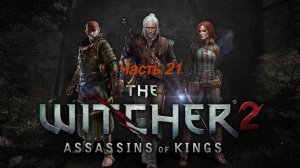 The Witcher 2 Assassins Of Kings Enhanced Edition загадки лок-муинэ Часть 21