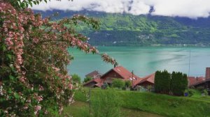 Знакомство c красивыми местами Швейцарии! Пешеходная экскурсия, 2024. 4К 60fps UHD HDR