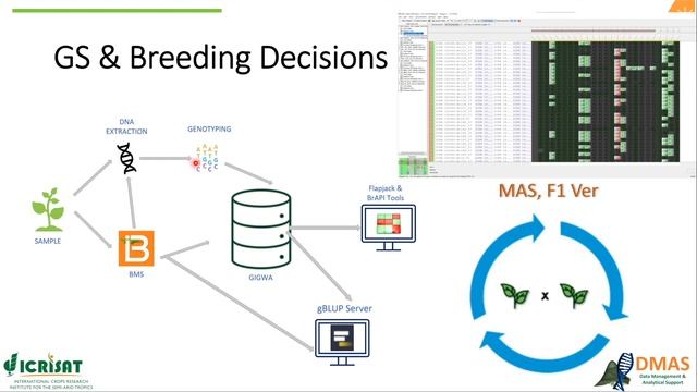 Basics of Genomic Selection 9. Computational Aspects and Implementation