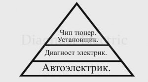 Профессия чип тюнер.
Диагност Электрик.