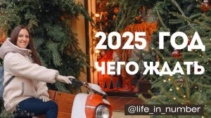 🔔ЧЕГО ЖДАТЬ В 2025 ГОДУ?