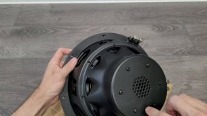 Оглохнуть от скрипки в 6 ряду, легко! - DL Audio Anaconda 12