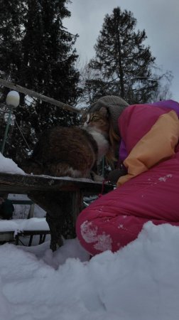 Пришли на причал, Плюха доволен.