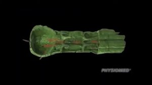 Hivamat200 Physiomed в клинике Авангард