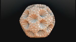 Mutations. Мутации. Анимация фрактала