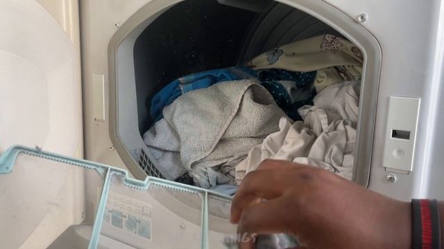 Collecting lint from Ariston dryer machine. I will use it as stuffing for some of my DIY projects