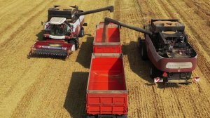 В 2024 году на развитие сельского хозяйства правительство выделило более 650 миллиардов рублей