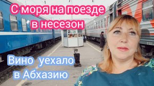 Абхазия обратная дорога/КПП Псоу вся на нервах/ Встреча в поезде Адлер- Минск/ Гастроли закончились