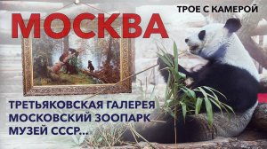 Наши приключения в Москве. Третьяковская галерея, Московский зоопарк, музей СССР. Трое с камерой.