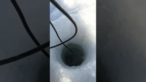 Проверяем кислород в пруду.